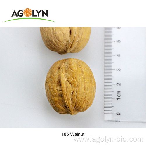 2021 new crop 185 paper shell walnuts